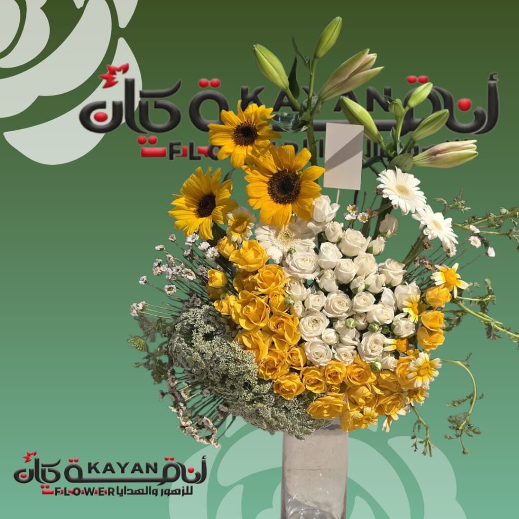 whatsapp image 2026 07 18 at 6.44.30 pm (1)